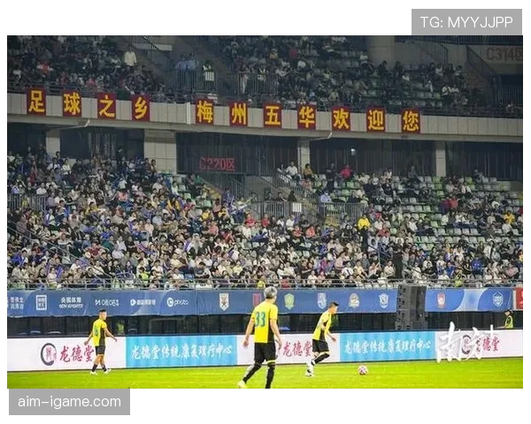 新赛季足球盛宴开启，明星转会引爆关注，青训新星闪耀赛场