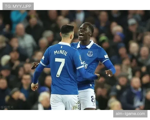 英超埃弗顿莫希里